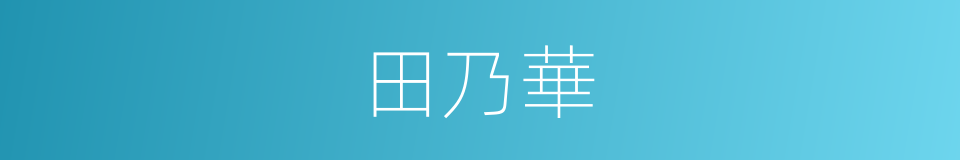 田乃華的同義詞