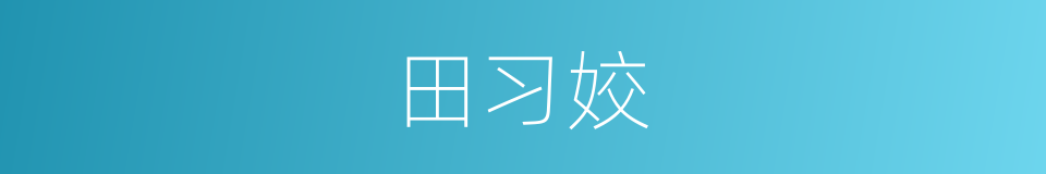 田习姣的同义词