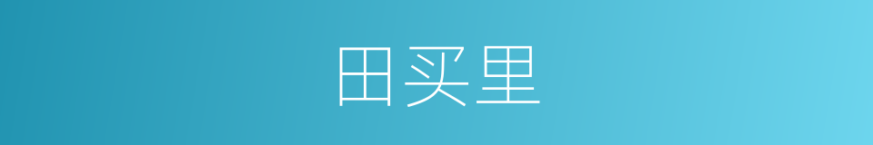 田买里的同义词