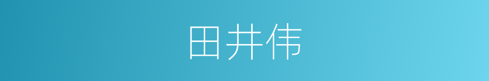 田井伟的同义词