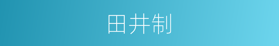 田井制的同义词