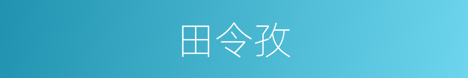 田令孜的同义词