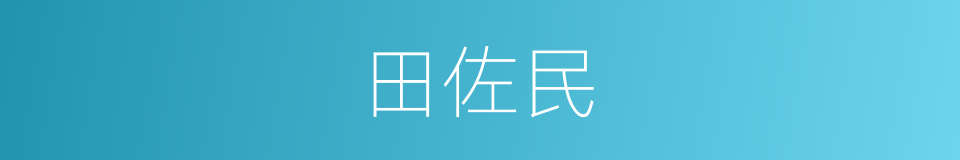 田佐民的同义词