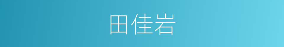 田佳岩的同义词