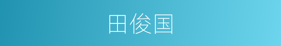 田俊国的同义词