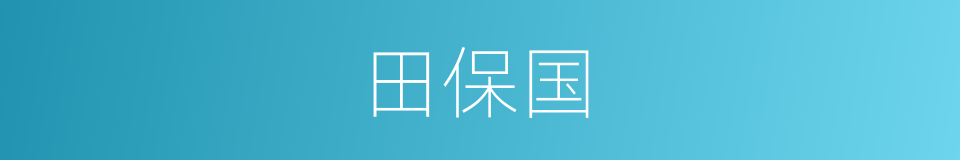 田保国的同义词