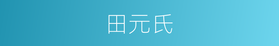 田元氏的同义词