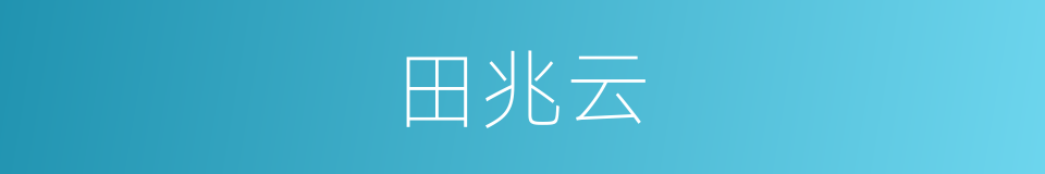 田兆云的同义词