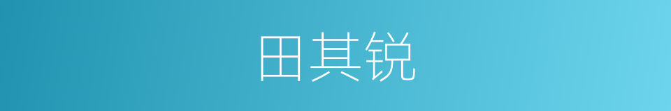 田其锐的同义词