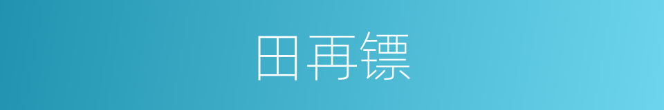 田再镖的同义词