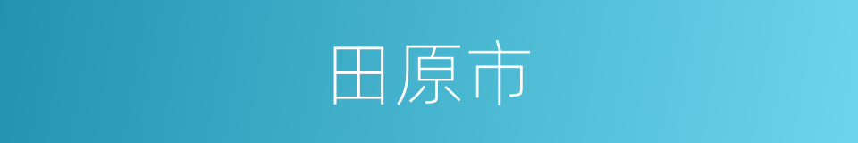 田原市的同义词