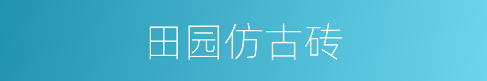 田园仿古砖的同义词