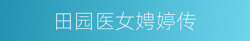 田园医女娉婷传的同义词