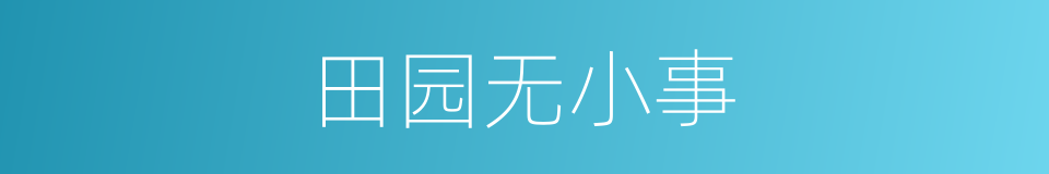 田园无小事的同义词