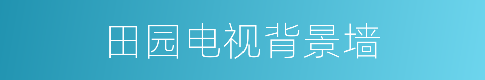 田园电视背景墙的同义词