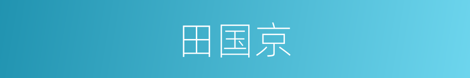 田国京的同义词