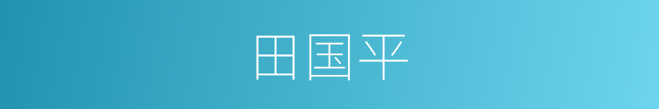 田国平的同义词