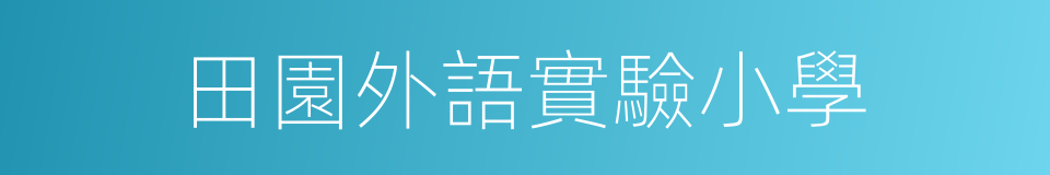 田園外語實驗小學的同義詞