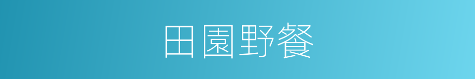 田園野餐的同義詞