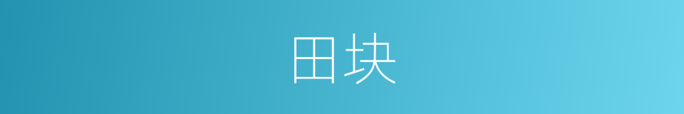 田块的同义词