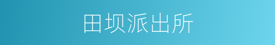 田坝派出所的同义词