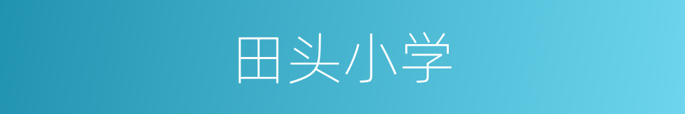 田头小学的同义词