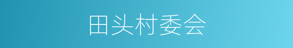 田头村委会的同义词