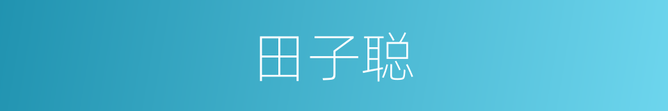 田子聪的同义词