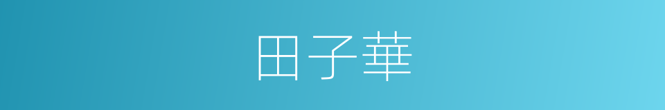 田子華的同義詞