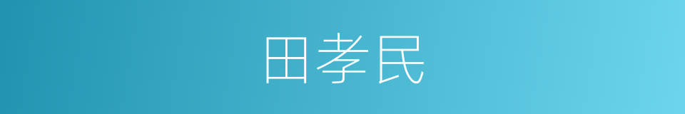 田孝民的同义词