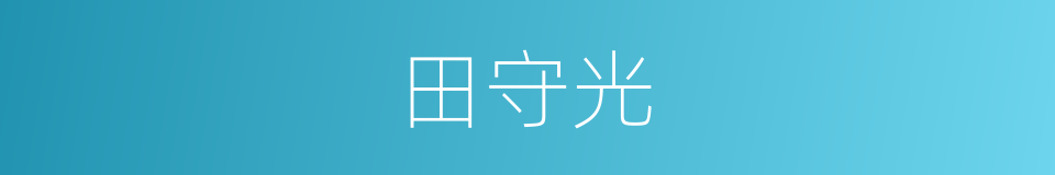 田守光的同义词