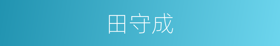 田守成的同义词