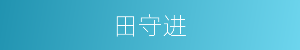 田守进的同义词