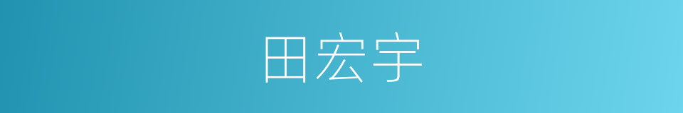 田宏宇的同义词