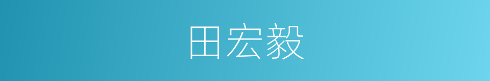 田宏毅的同义词