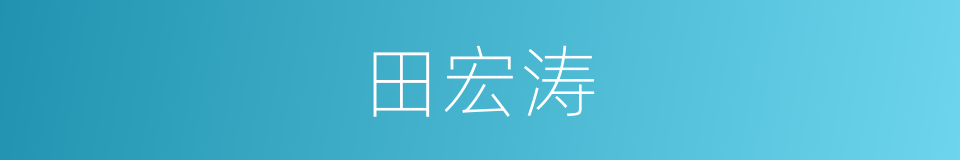 田宏涛的同义词