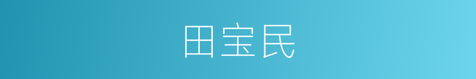 田宝民的同义词