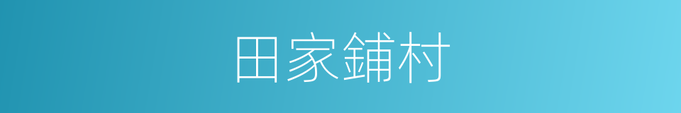 田家鋪村的同義詞