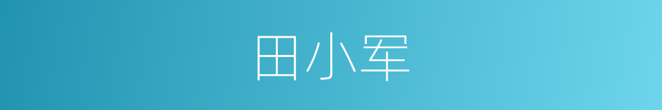 田小军的同义词