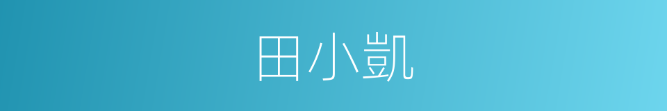 田小凱的同義詞