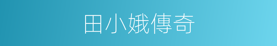 田小娥傳奇的同義詞