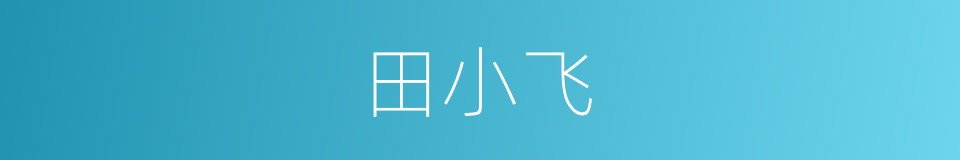 田小飞的同义词