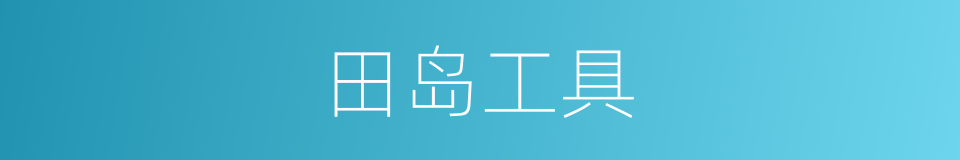 田岛工具的同义词