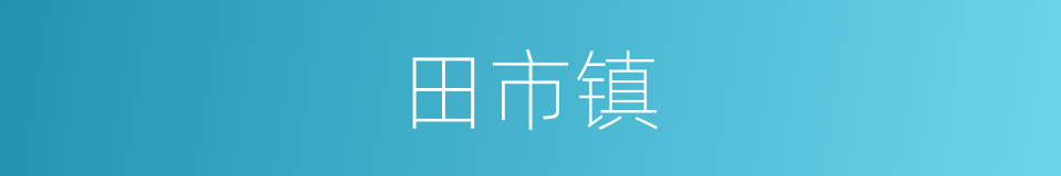 田市镇的同义词