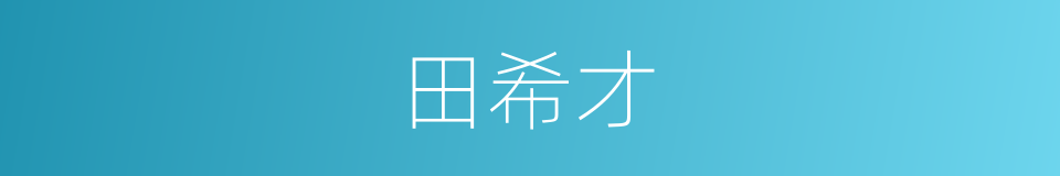 田希才的同义词