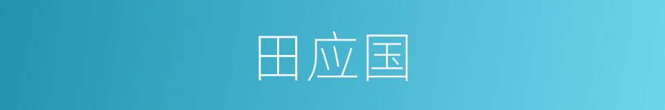 田应国的同义词