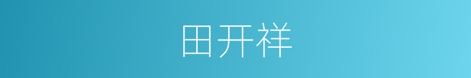 田开祥的同义词