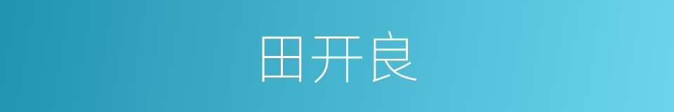 田开良的同义词