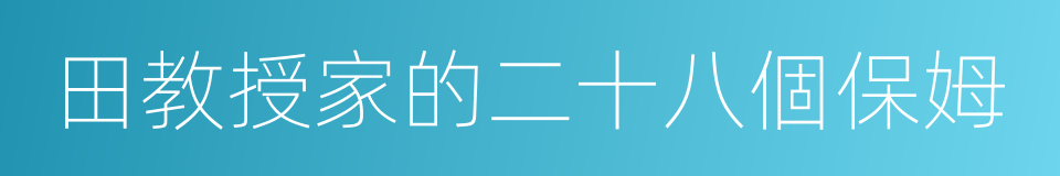 田教授家的二十八個保姆的同義詞