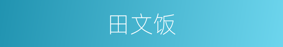 田文饭的同义词